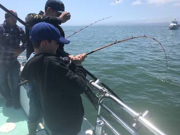 San Francisco Report Photo 1