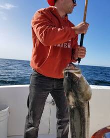 Point Pleasant Report Photo 2