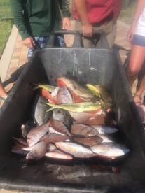 Orange Beach Report Photo 1