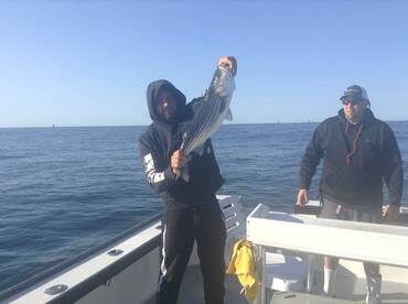 Striped bass have arrived in R.I. 