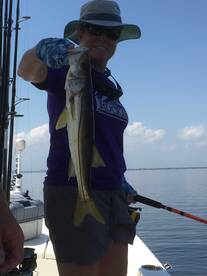 Clearwater Report Photo 2