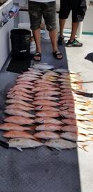 Great Snapper Fishing On Our Party Boat 