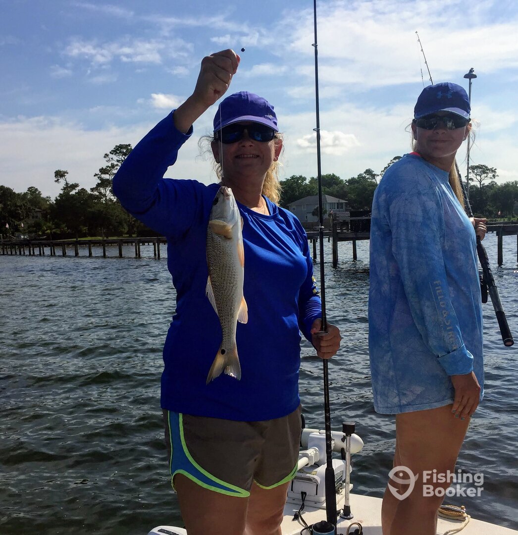 Navarre Report Photo 0