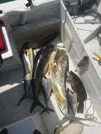 La Paz Report Photo 2