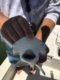 Clearwater Report Photo 1