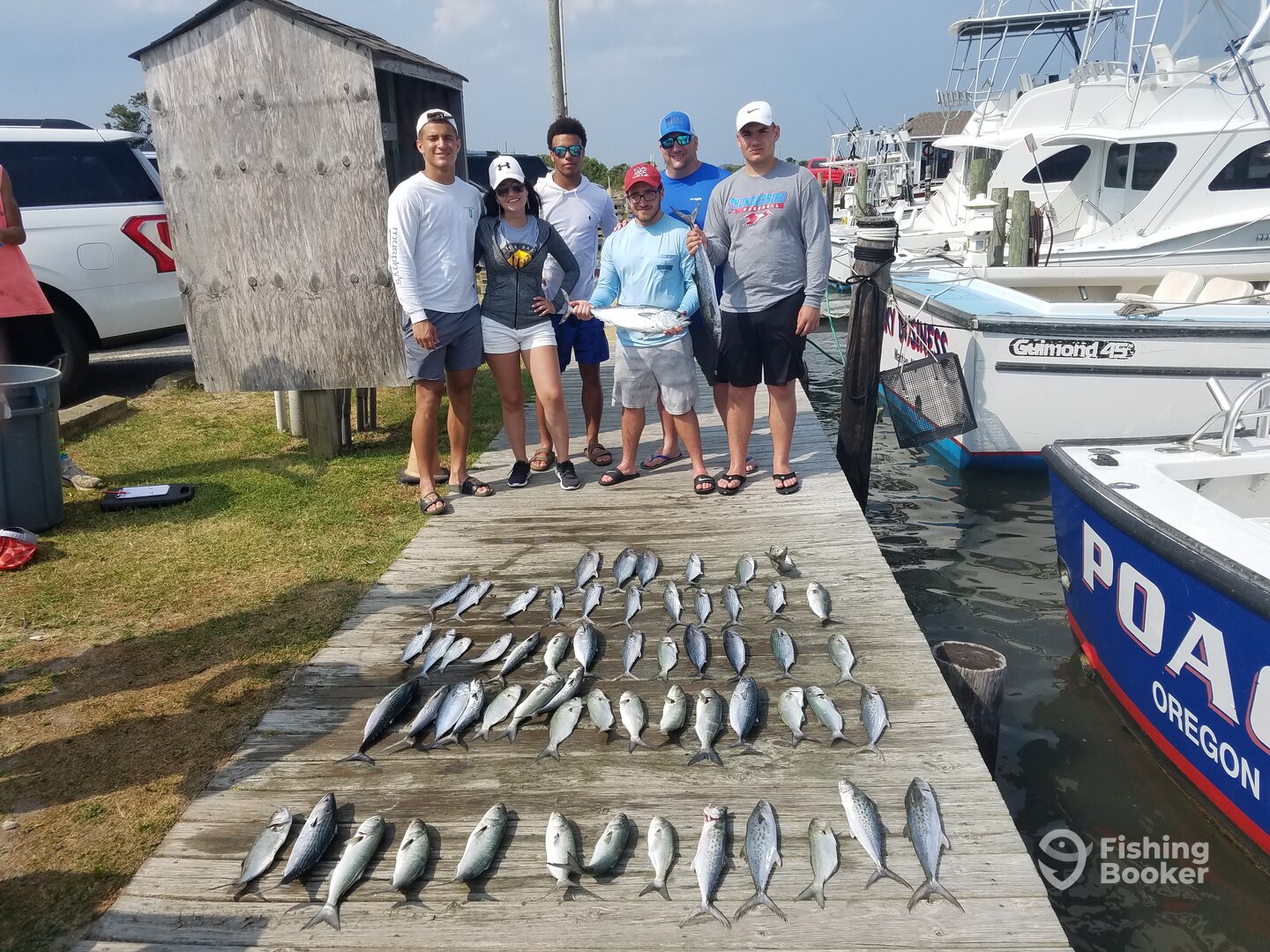 Nags Head Report Photo 0
