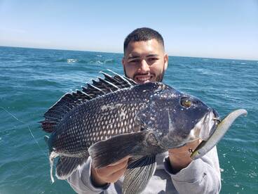 Boston & Cape Cod Report 5-30-2019