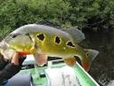 Bass fishing heats up weather cools down