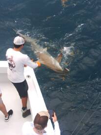 Fort Lauderdale Report Photo 2