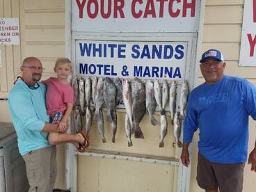 The Fish Are Biting!