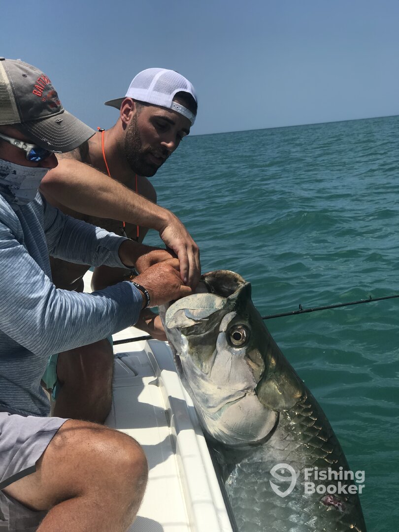 Sarasota Report Photo 0