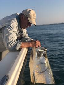 Sarasota Report Photo 1