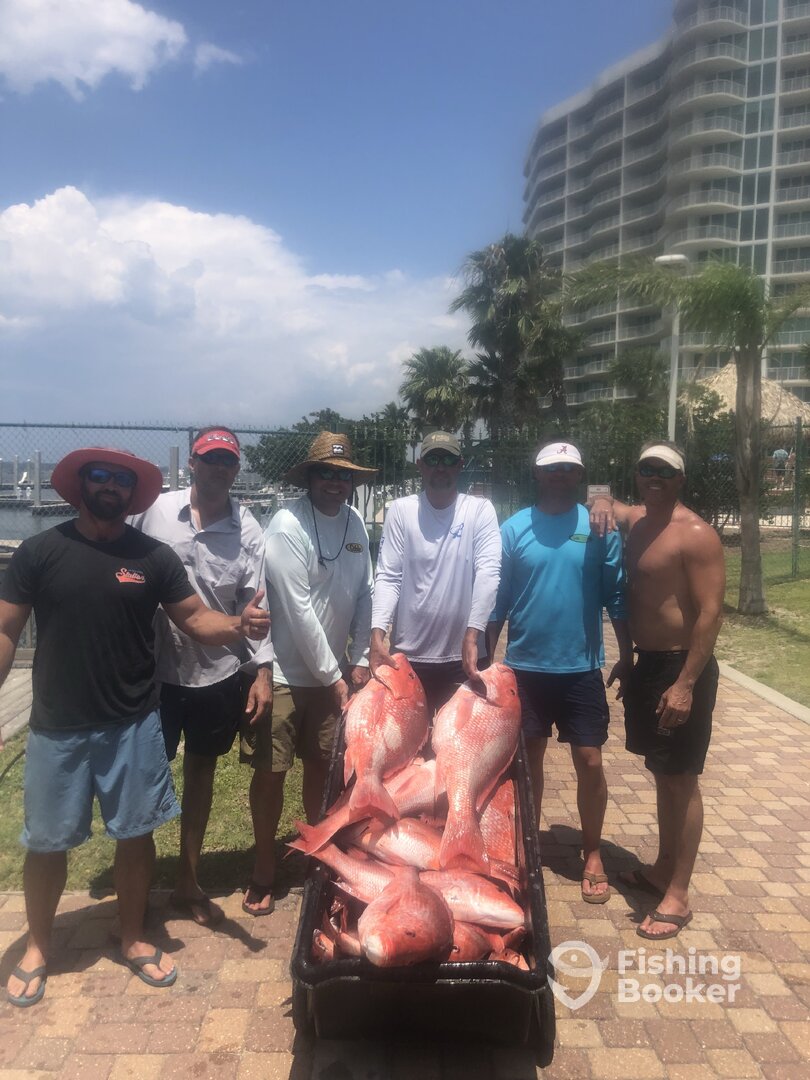 Orange Beach Report Photo 0