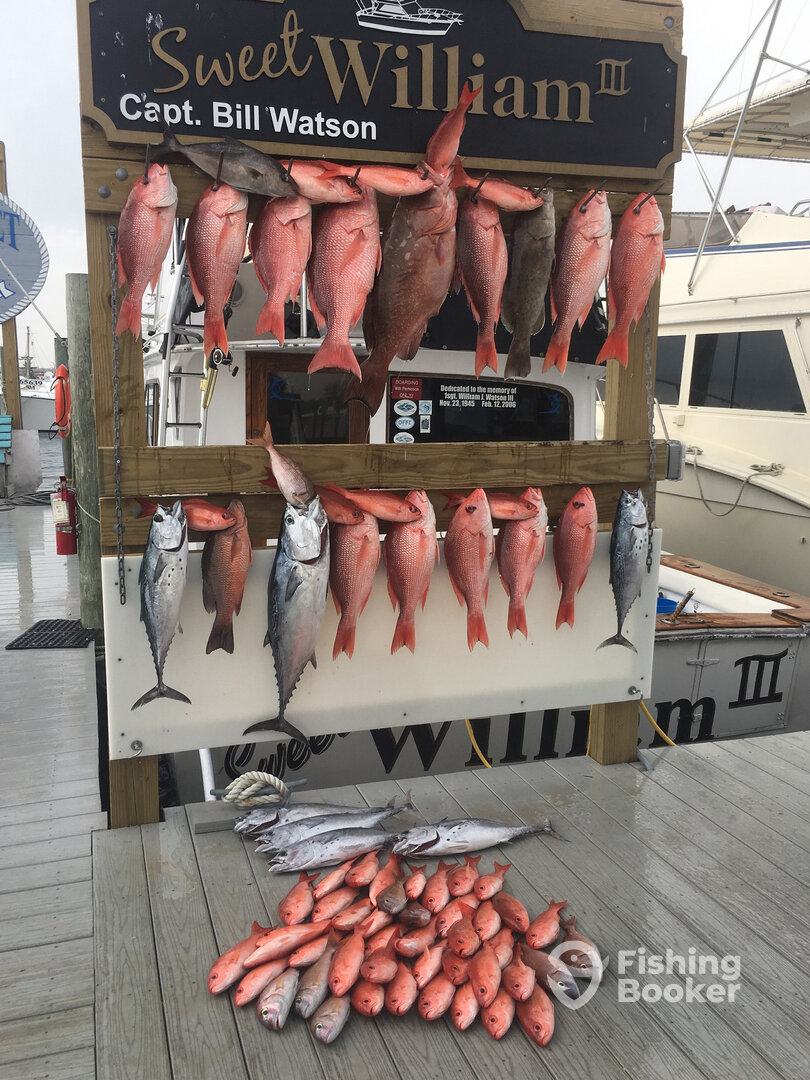 Destin Report Photo 0