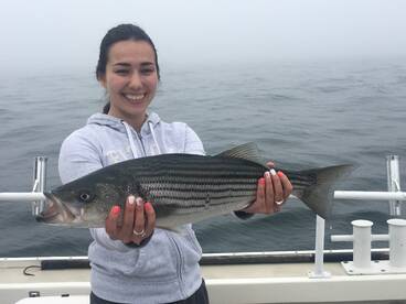 Montauk Report Photo 1