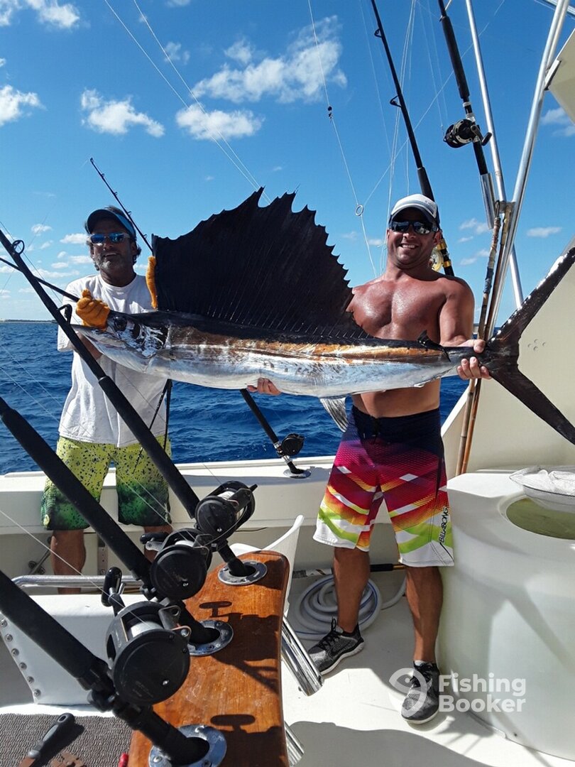 Fort Lauderdale Report Photo 0