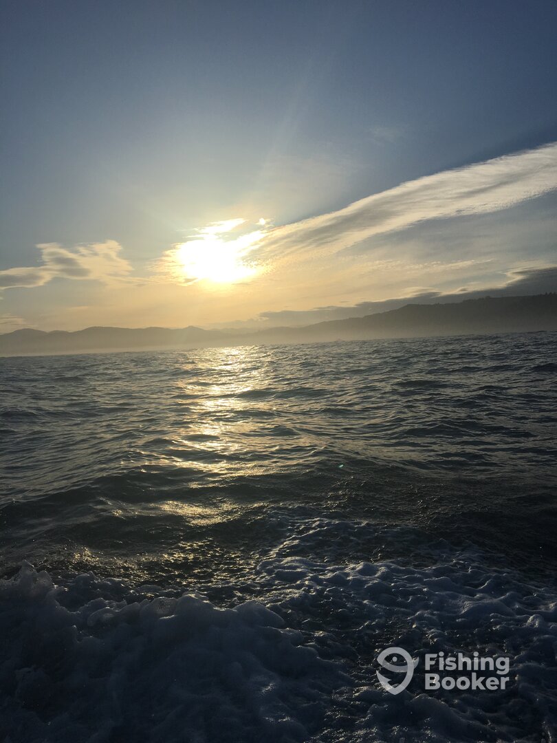 Newport Report Photo 0