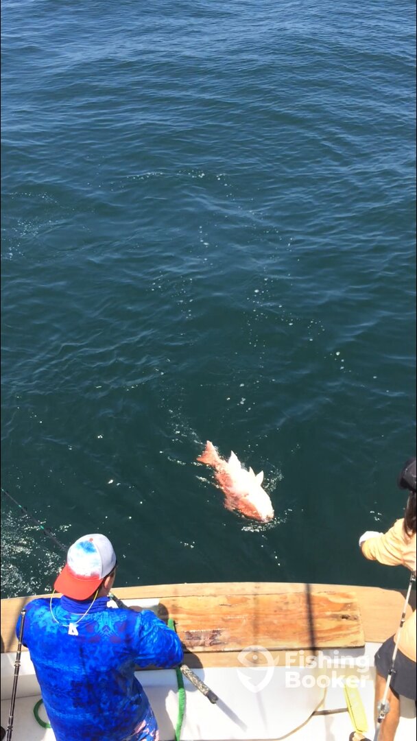 Destin Report Photo 0