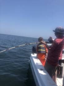 Orange Beach Report Photo 1