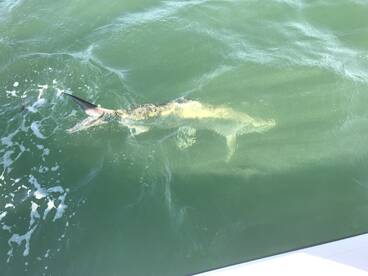 Clearwater Report Photo 1