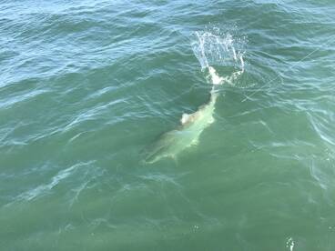 Clearwater Report Photo 2