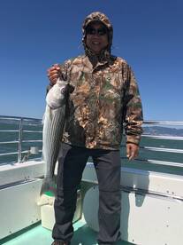 San Francisco Report Photo 1