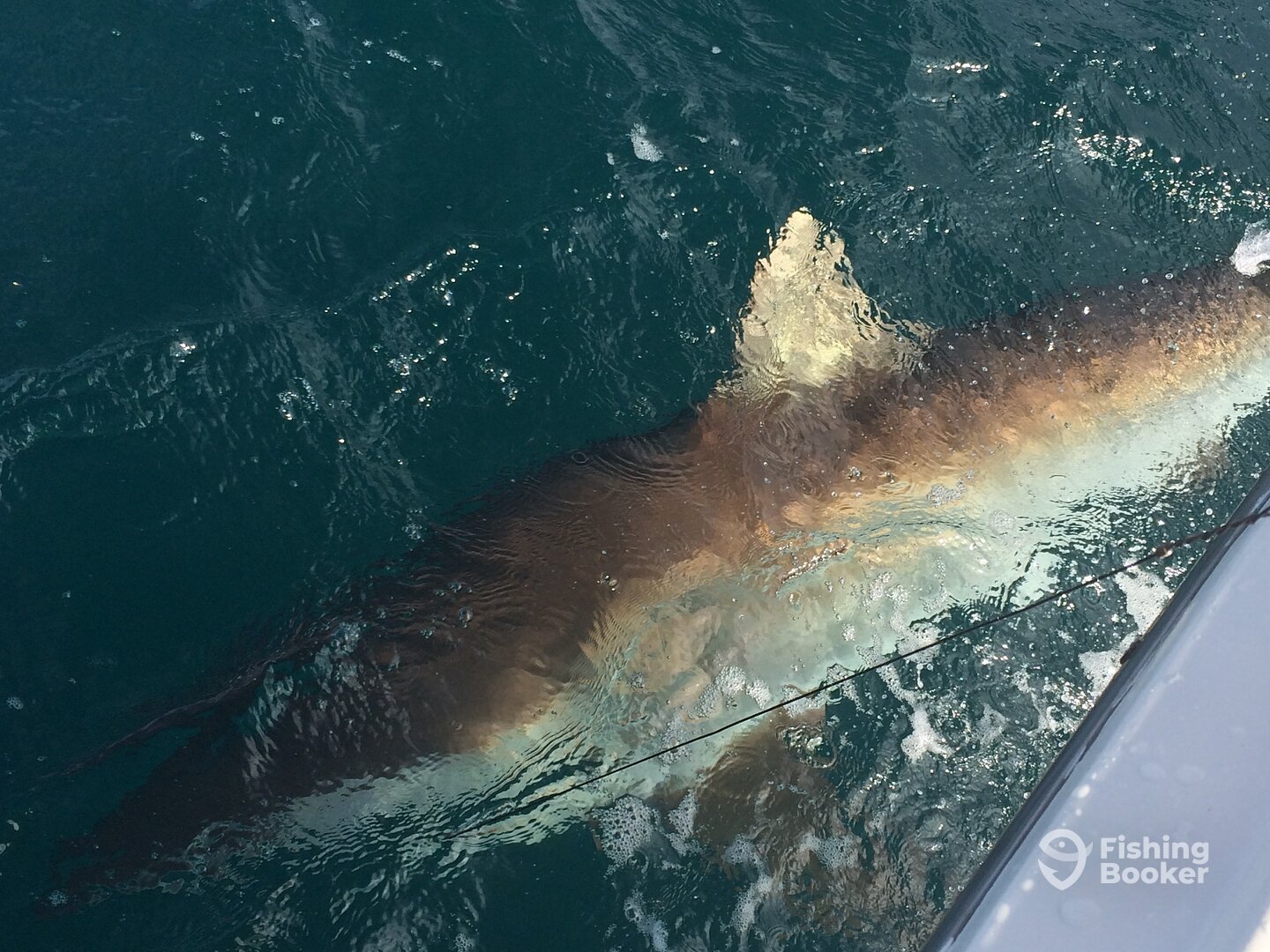 Fort Lauderdale Report Photo 0