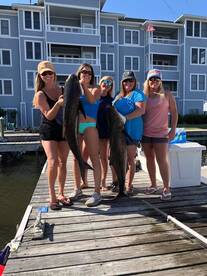 The ladies got it done!!!