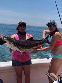 Virginia Beach Report Photo 2