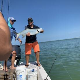 Marco Island Report Photo 1