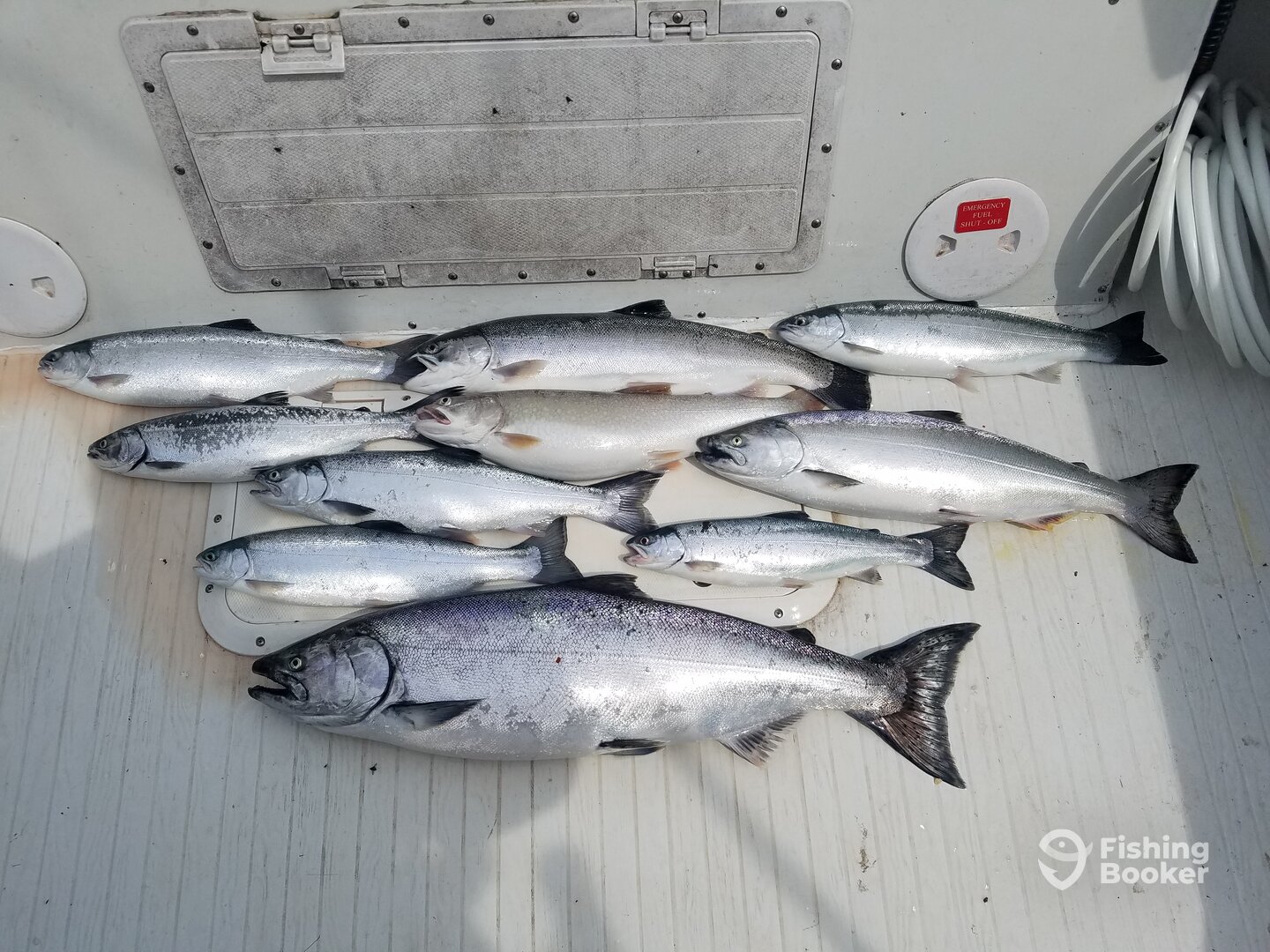 Elk Rapids Report Photo 0