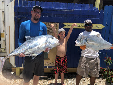 Huge African Pompanos’s and snappers