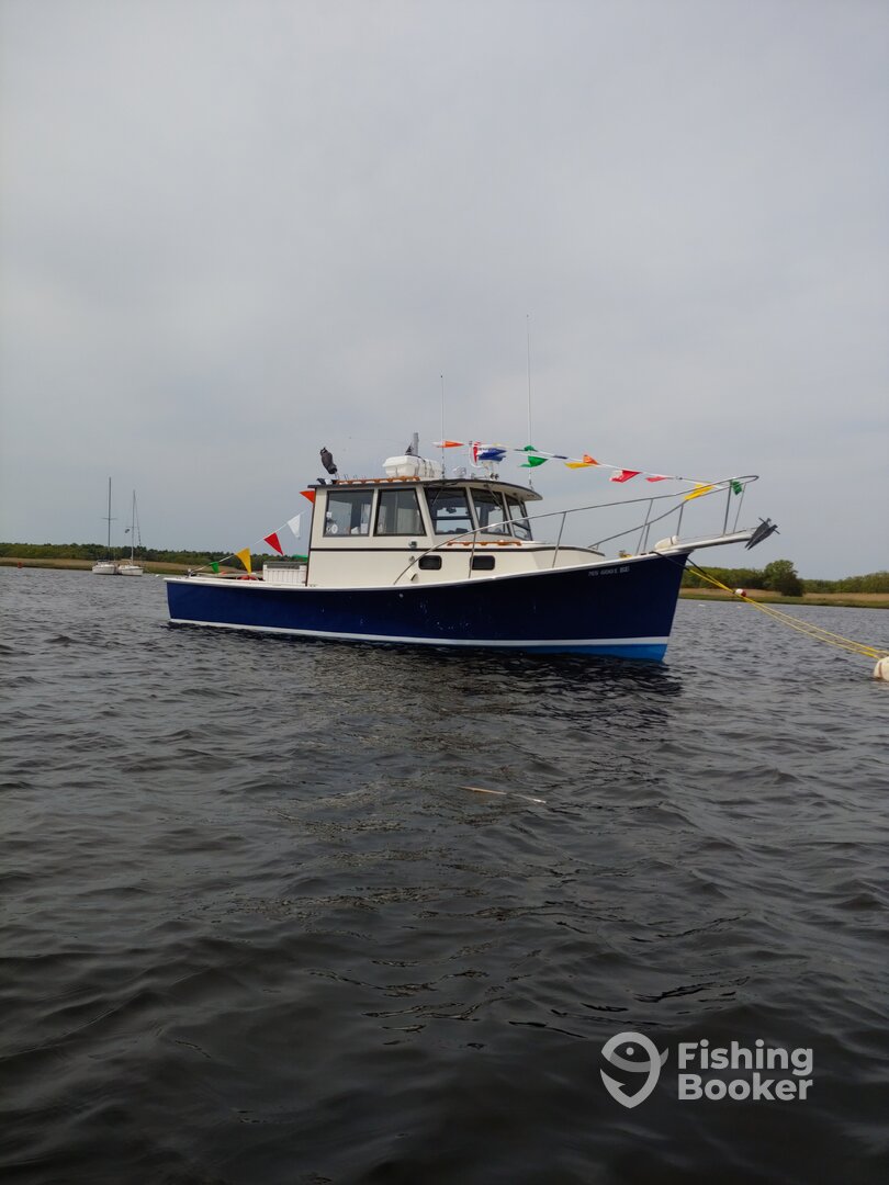 Newburyport Report Photo 0