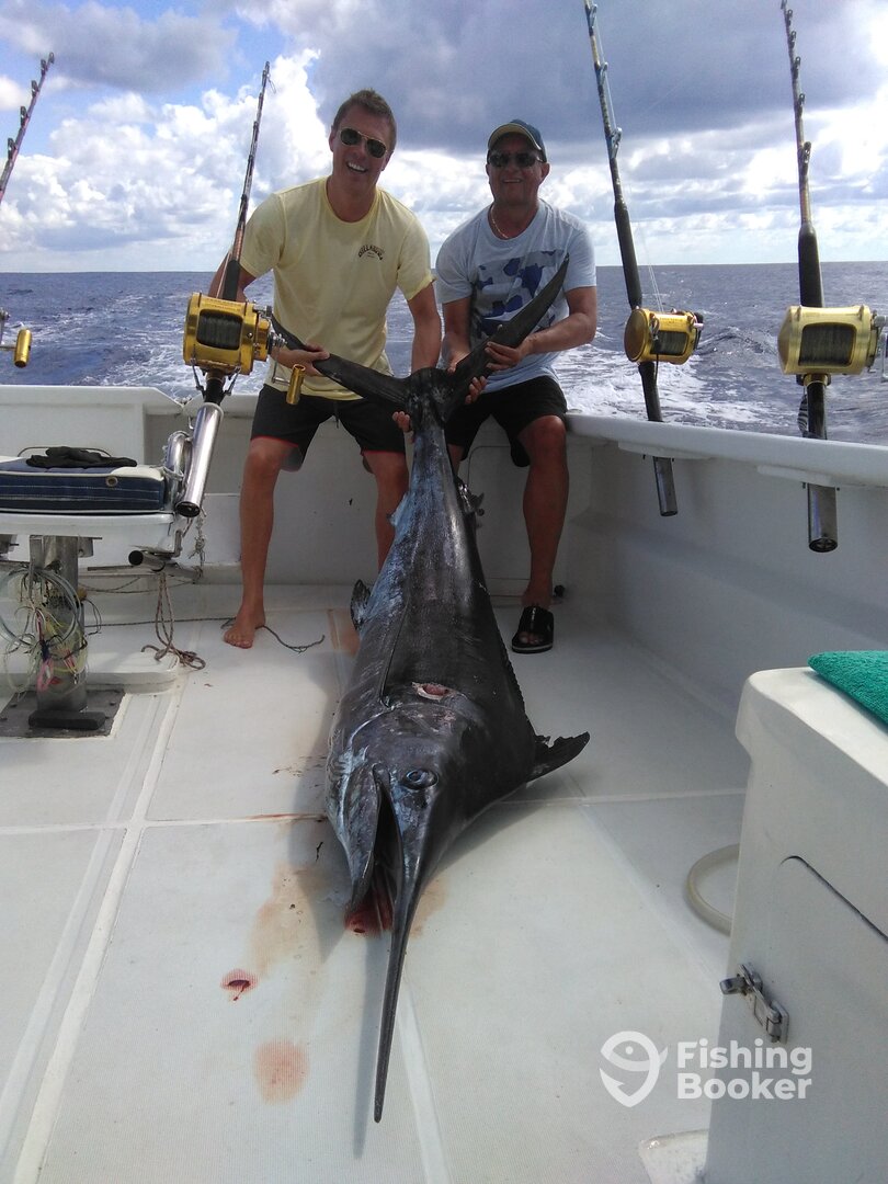 200 lbs blue Marlin caught on Billfish