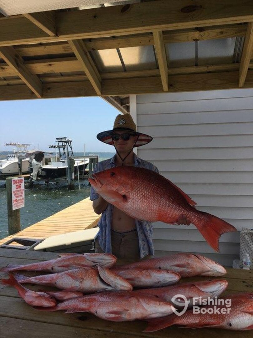 Pensacola Report Photo 0