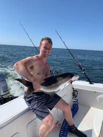 Norfolk Report Photo 2