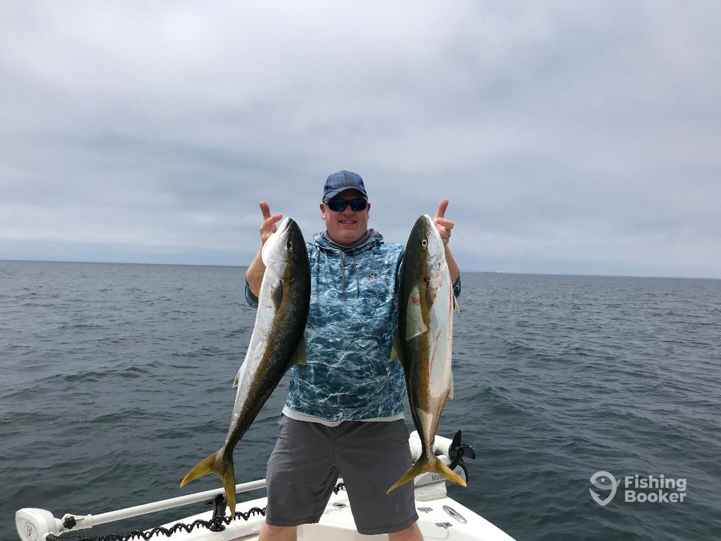 We found the yellowtail