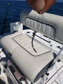 Gandpa Shark do do do do do do