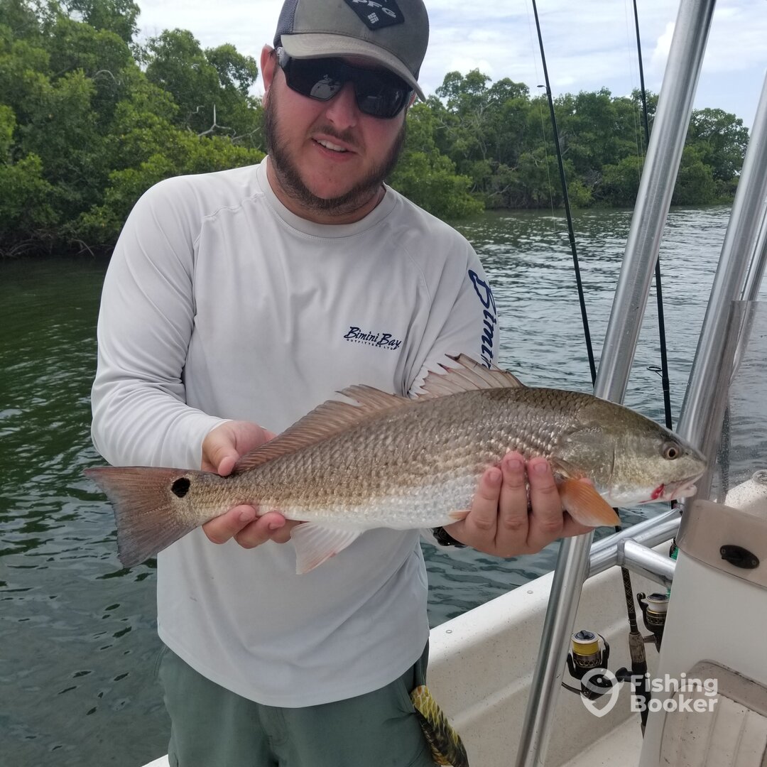 Bonita Springs Report Photo 0
