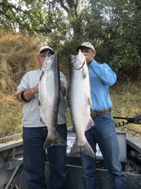 Sutter Yuba Area Report Photo 3