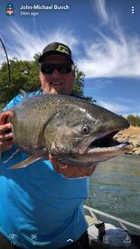 !!! KING SALMON !!!