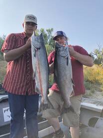Sutter Yuba Area Report Photo 1
