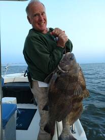 Big drum run on Delaware Bay