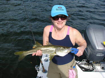 St. Petersburg Report Photo 1