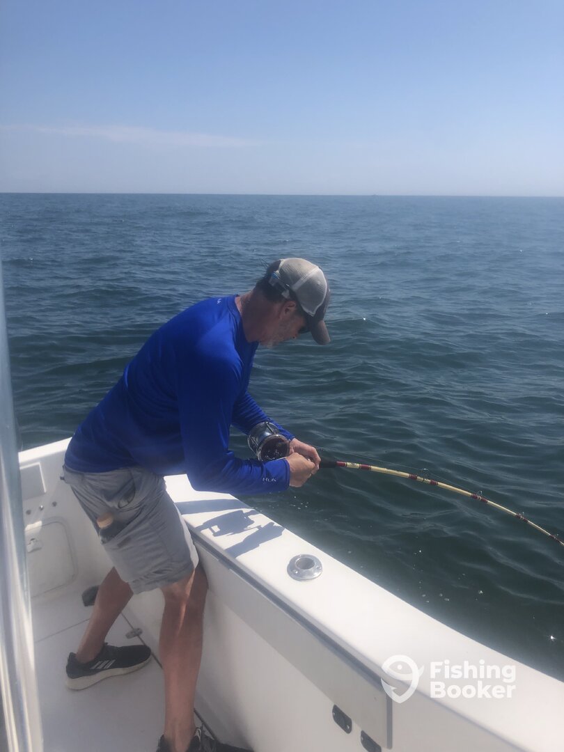 Orange Beach Report Photo 0