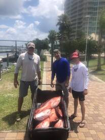Orange Beach Report Photo 2