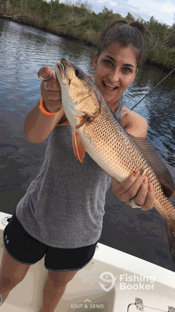 Slot redfish caught on a live shrimp in the Tomoka River, Ormond Beach
