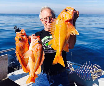 Long Leader Rockfish 