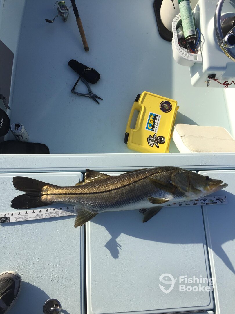 Key Largo Report Photo 0