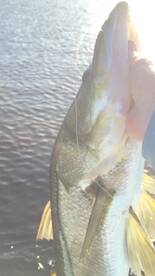 Key Largo Report Photo 2